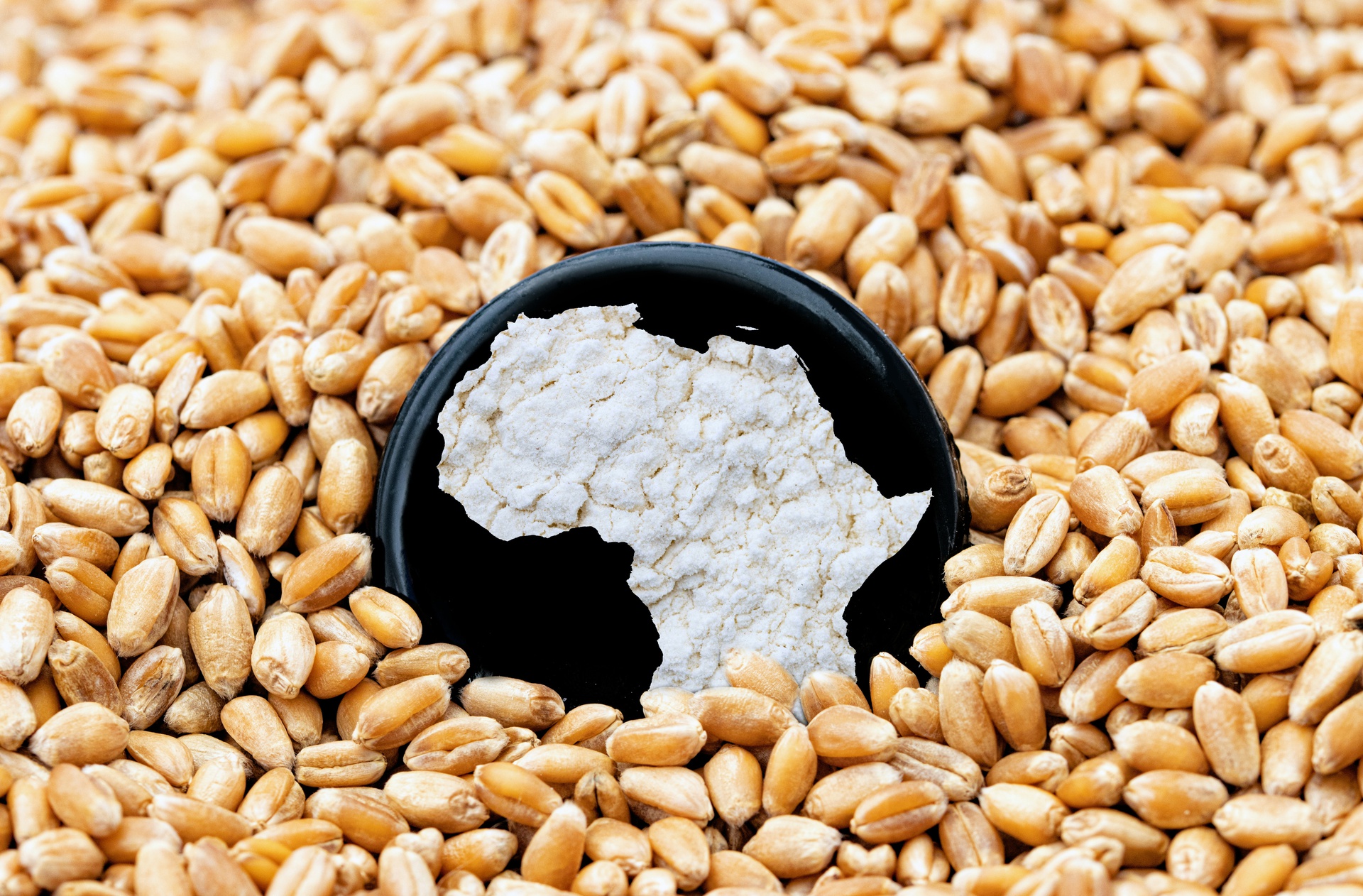 北京糧食飼料原料購(gòu)銷(xiāo)app開(kāi)發(fā)，購(gòu)銷(xiāo)一鍵連接