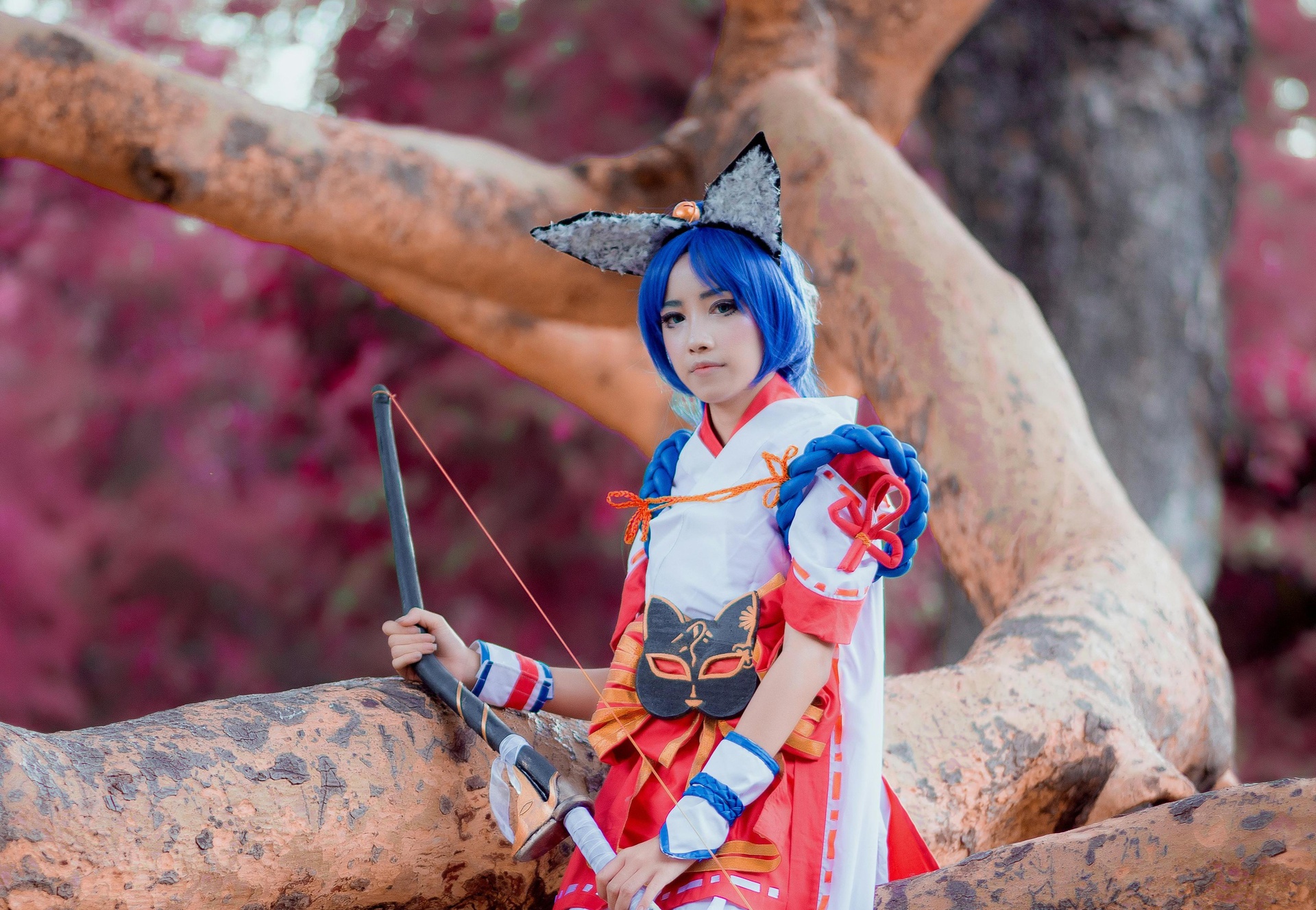 二次元活動資訊