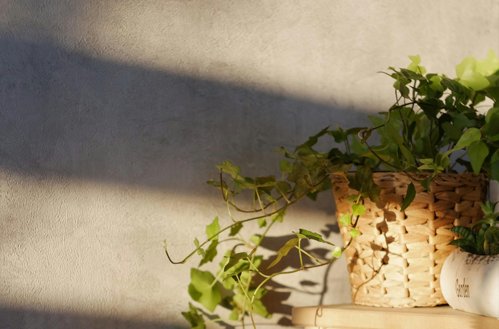 種植問(wèn)題診斷