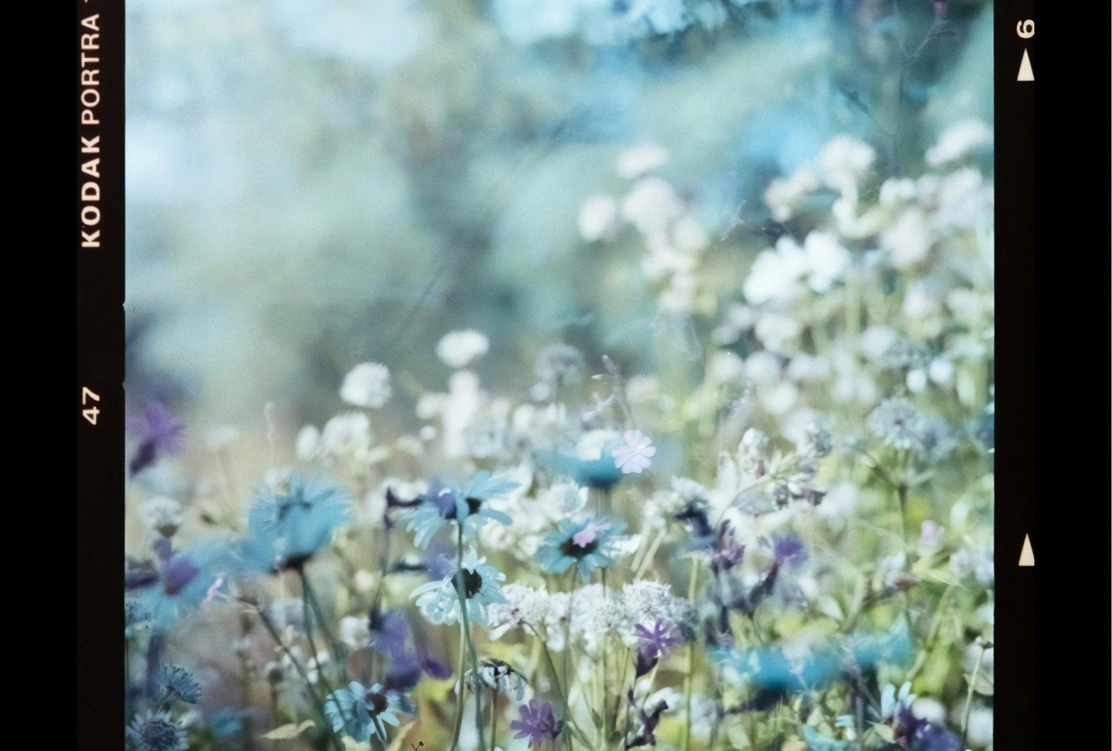 互動(dòng)社區(qū)