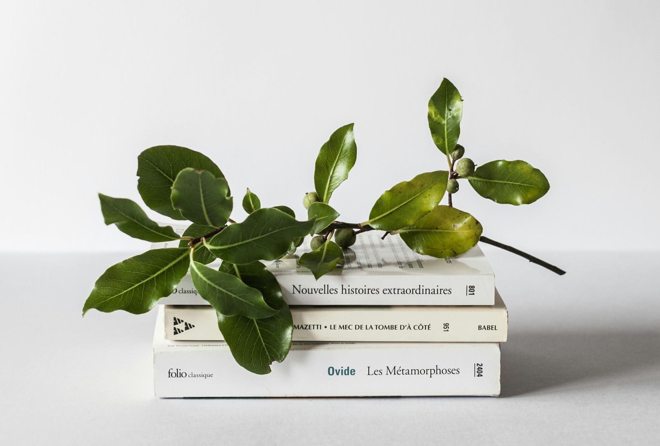 煙臺(tái)誦讀配樂小程序開發(fā)有哪些核心功能？